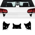 Autocollant en vinyle de chat de recherche - Stickers décoratifs amusants et amovibles
