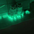 Bandes adhésives auto-lumineuses structurelles pour la nuit - Ruban d'avertissement pour escalier, intérieur et extérieur