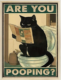 Affiche drôle de chat noir lisant le journal