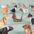 50 pcs Papier Créatif pour Bricolage Animaux - Chats, Chiens, Dinosaures