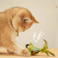 Jouet interactif d'intérieur pour chat avec herbe-aux-chats – Jouet taquin auto-hilarité