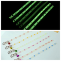 Collier lumineux réglable pour chat et petit chien