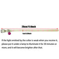 Collier lumineux pour chat avec empreinte scintillante et breloques