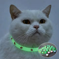 Collier lumineux réglable pour chat avec breloques scintillantes - parfait pour promenades nocturnes