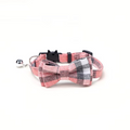Collier pour chat avec nœud papillon et clochette