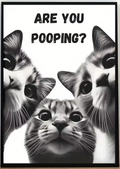 Affiche drôle de chat noir lisant le journal