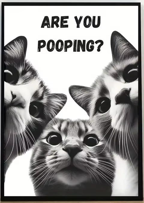 Affiche drôle de chat noir lisant le journal