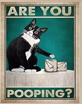 Affiche drôle de chat noir lisant le journal