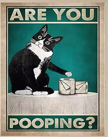 Affiche drôle de chat noir lisant le journal