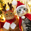 Costume de Noël pour chat - Festif et chaud