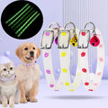 Collier lumineux réglable pour chat avec breloques scintillantes - parfait pour promenades nocturnes