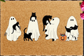 Tapis antidérapant humoristique chat pour décoration intérieure