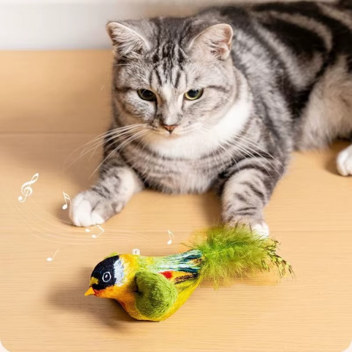 Jouet interactif pour chat avec oiseaux à poursuivre