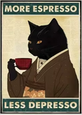 Affiche drôle de chat noir lisant le journal