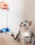 Jouet interactif pour chat avec oiseaux à poursuivre