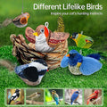 Jouet interactif pour chat avec oiseaux pour chasser et jouer