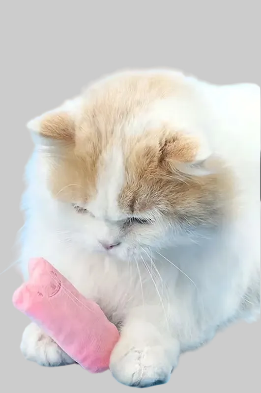 Jouet interactif en peluche pour chat