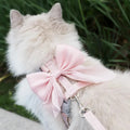 Harnais et laisse pour chat à nœud papillon - Harnais réglable pour animaux de compagnie