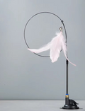 Bâton de jeu pour chat avec plume et ventouse