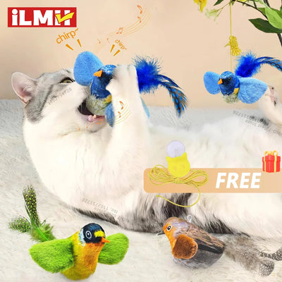 Jouet interactif pour chat avec oiseaux pour chasser et jouer