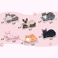 Épingles à cheveux mignonnes pour chat - Lot de 1 à 5 pièces pour filles et dames